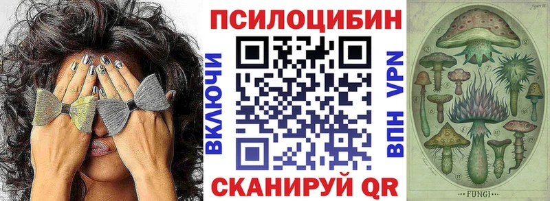купить закладку  мега ССЫЛКА  Галлюциногенные грибы GOLDEN TEACHER  Севск 